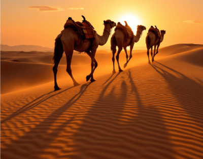 Au départ de Marrakech: Circuit de 3 jours à Merzouga et dans le désert du Sahara